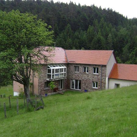 Gite Hansel De La Ferme Du Schneeberg Wangenbourg-Engenthal Exterior photo