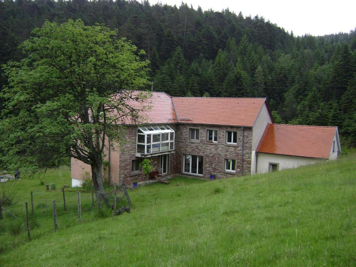 Gite Hansel De La Ferme Du Schneeberg Wangenbourg-Engenthal Exterior photo