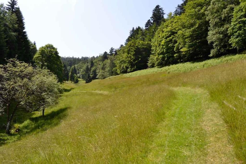 Gite Hansel De La Ferme Du Schneeberg Wangenbourg-Engenthal Exterior photo