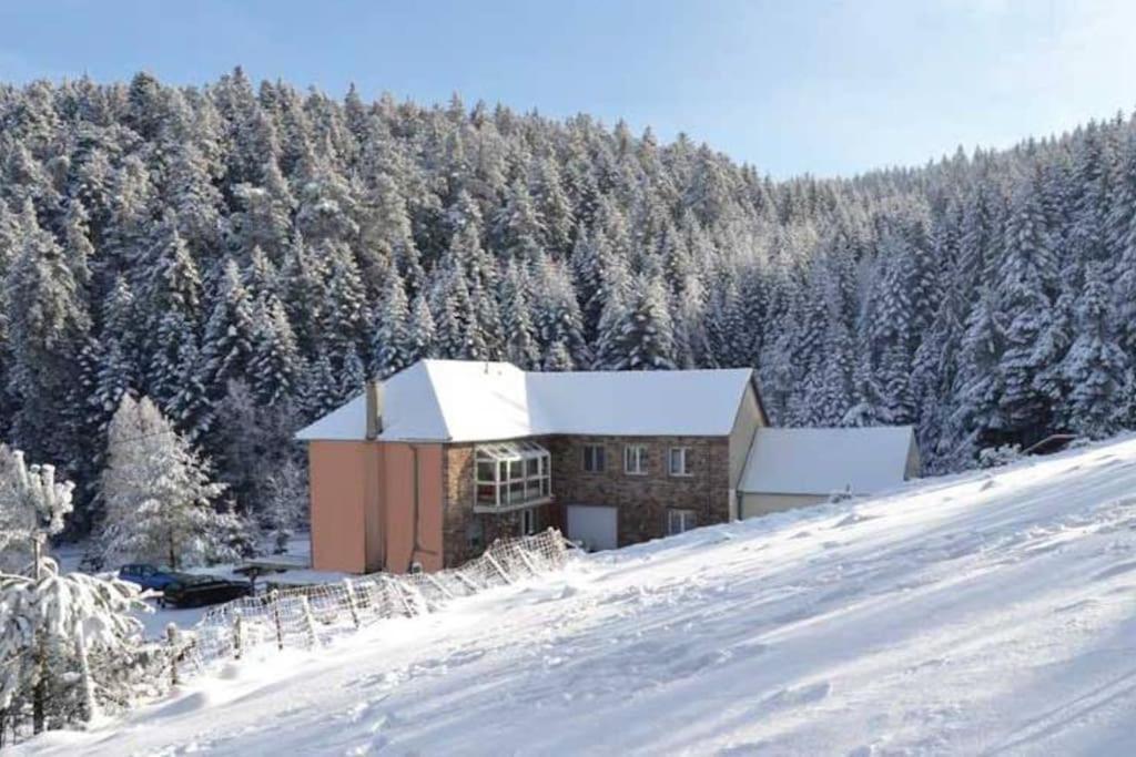 Gite Hansel De La Ferme Du Schneeberg Wangenbourg-Engenthal Exterior photo